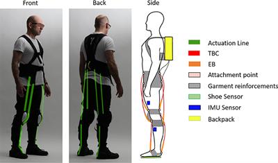 Pneumatic Quasi-Passive Actuation for Soft Assistive Lower Limbs Exoskeleton